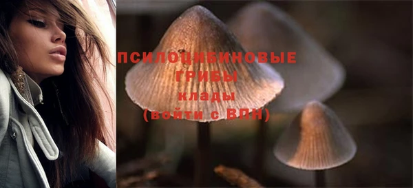 бутират Магас