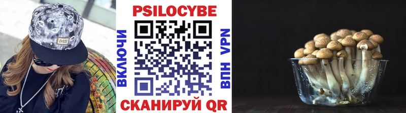 Купить  Клинцы  Псилоцибиновые грибы ЛСД 